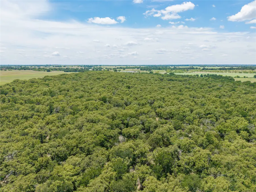 51.03 Acres Highway 16, De Leon, TX 76444 - #3