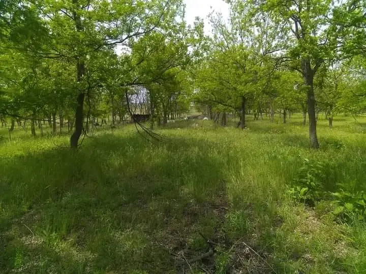 1209 County Road 416, Comanche, TX 76442 - #1