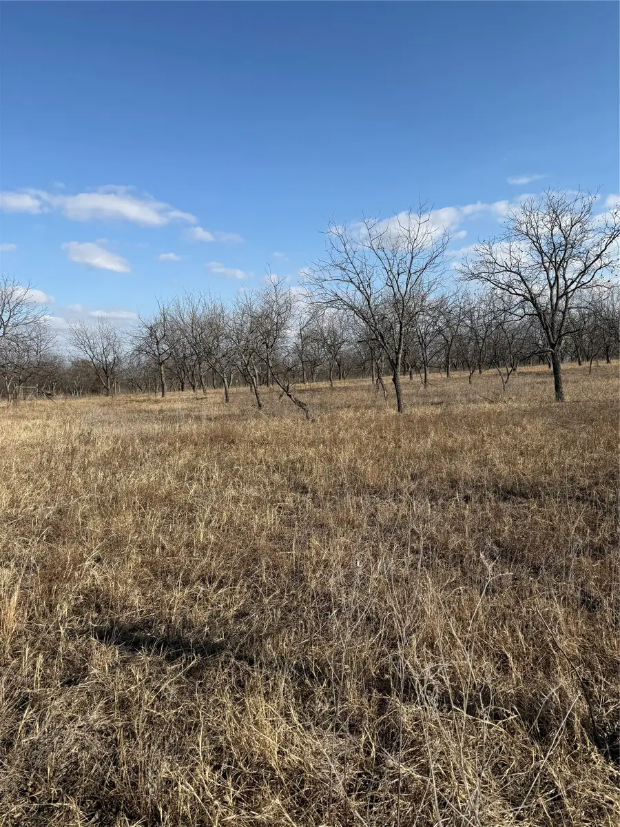 1209 County Road 416, Comanche, TX 76442 - #3