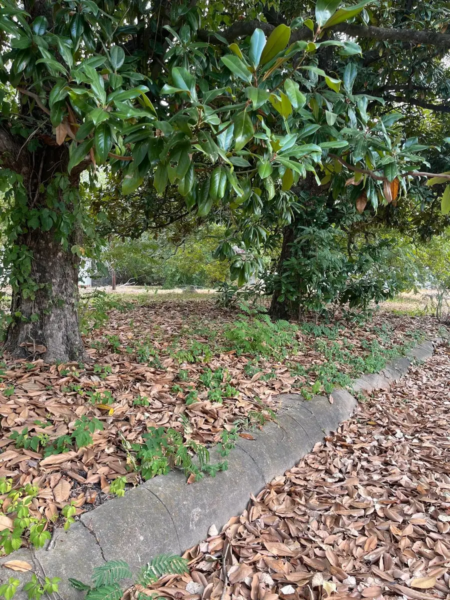 TBD-2 Ne 11th Street Ne, Paris, TX 75460 - #3