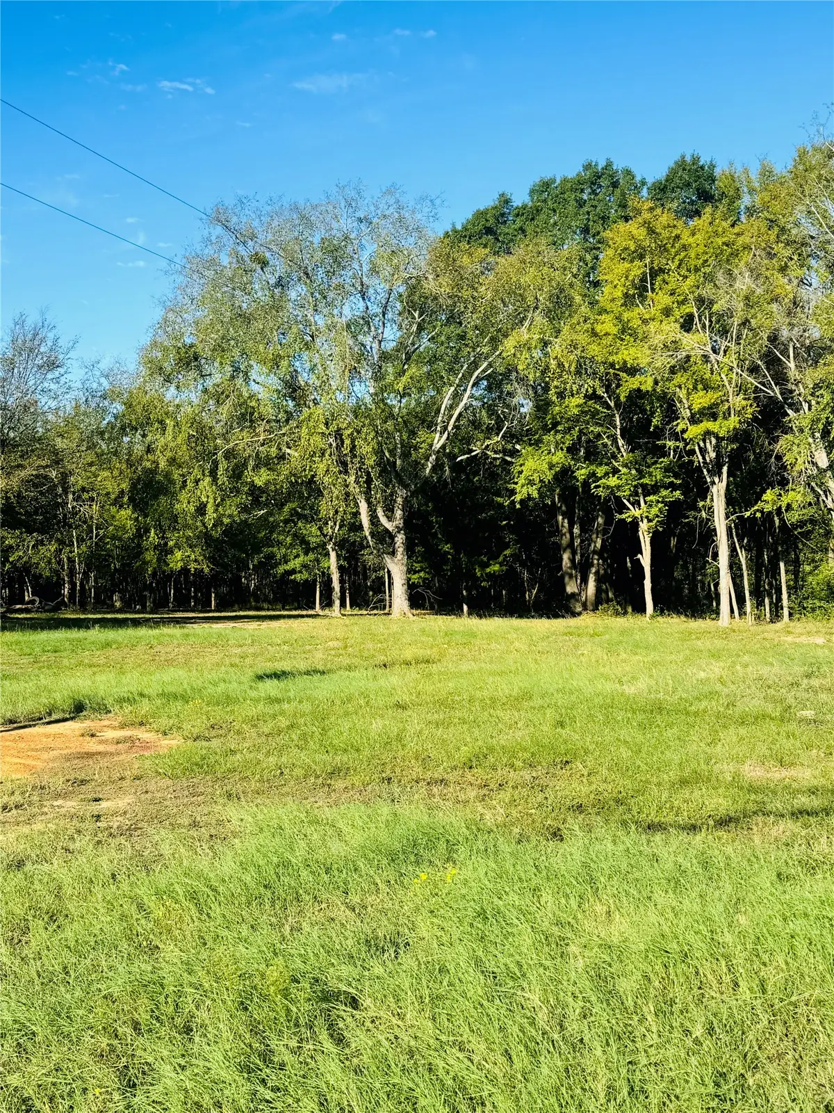 9250 Fm 59, Athens, TX 75751 - #1
