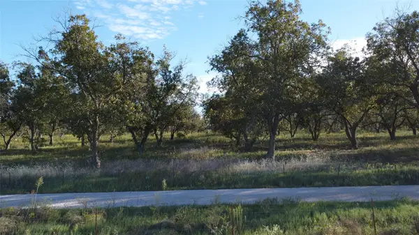 Lot 4 County Road 461, De Leon, TX 76444