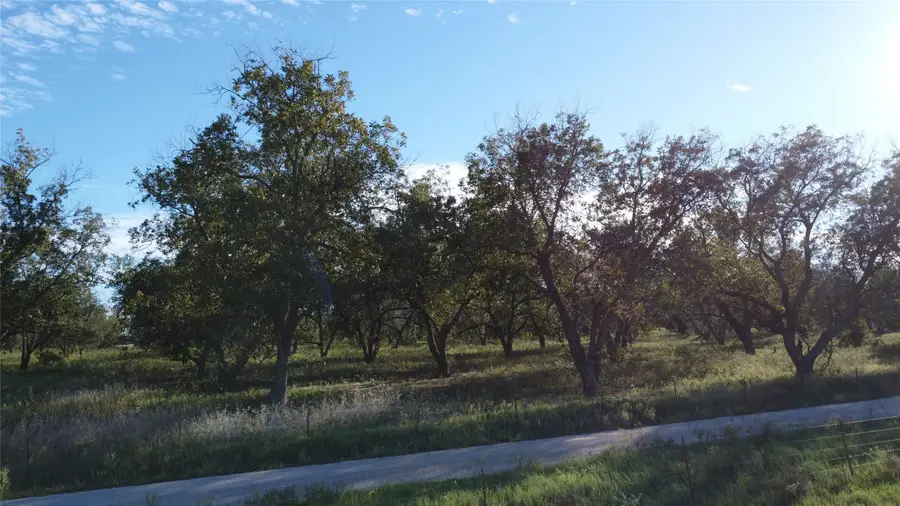 Lot 4 County Road 461, De Leon, TX 76444 - #2