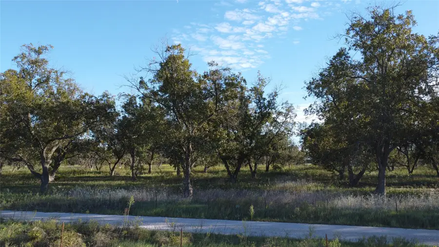 Lot 4 County Road 461, De Leon, TX 76444 - #3