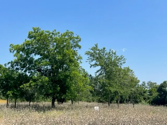 Lot 24 Pr 6332, Hamilton, TX 76531 - #3
