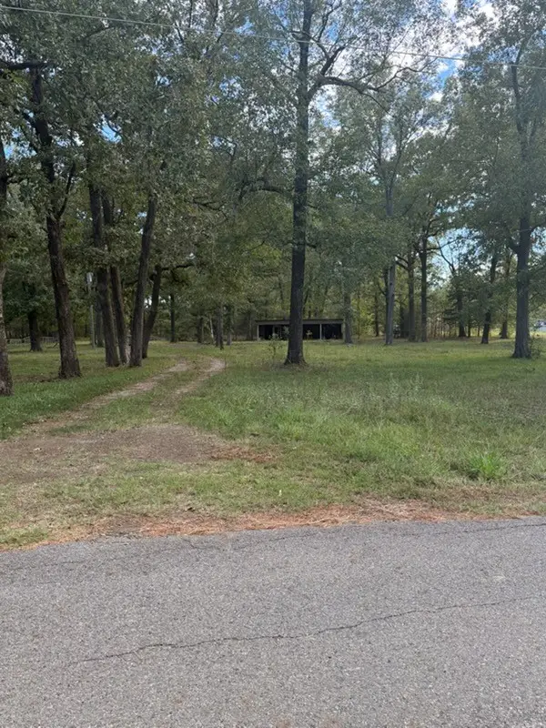 715 Lake Road, Stonewall, LA 71078 - #3
