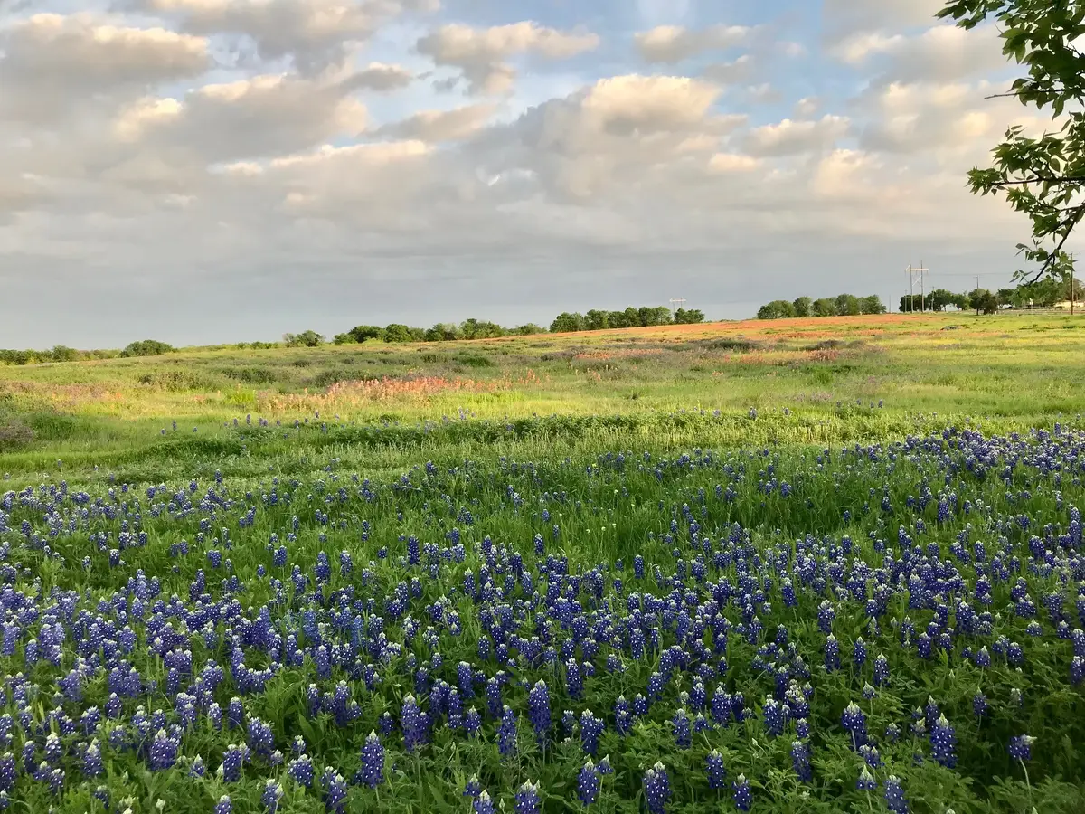 00 0 Fm-660, Ennis, TX 75119 - #1
