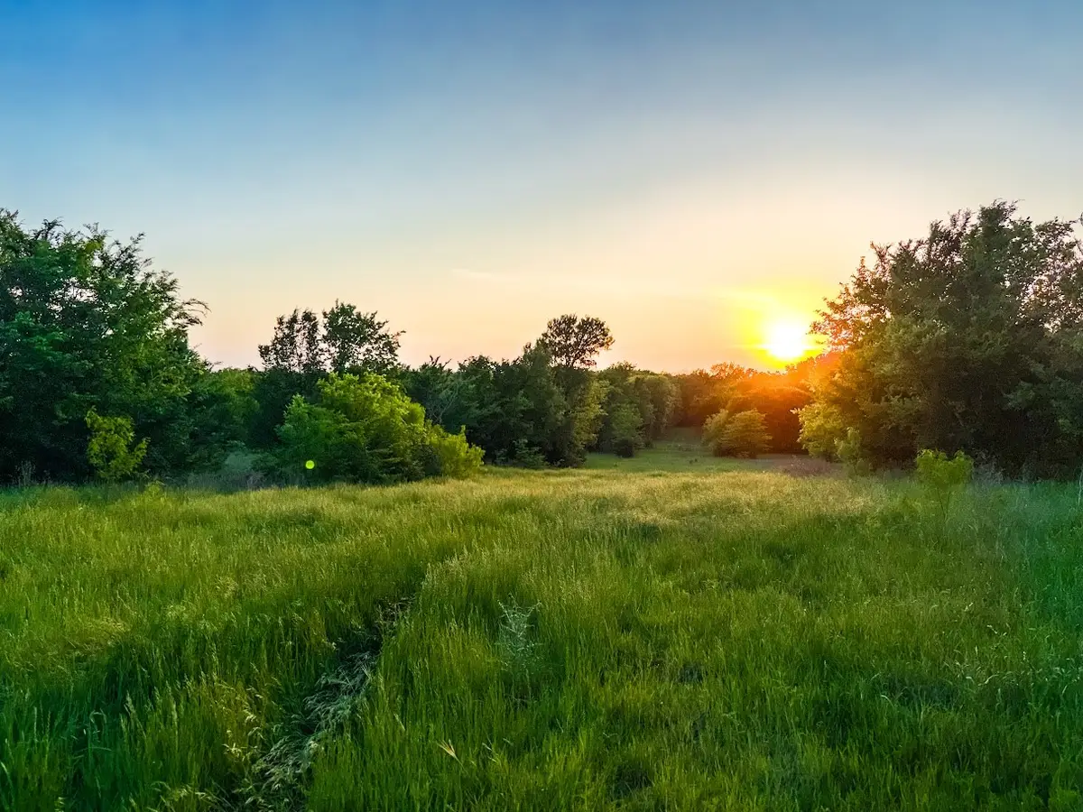 0000 County Road 855, Teague, TX 75860 - #1