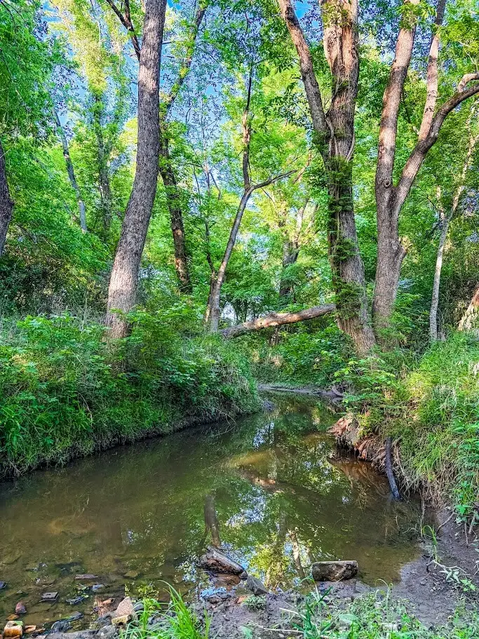 0000 County Road 855, Teague, TX 75860 - #3
