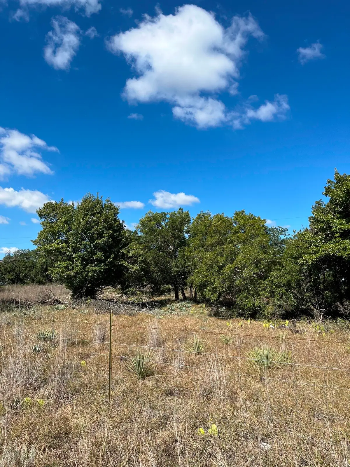 5487 County Road 345, Early, TX 76802 - #1