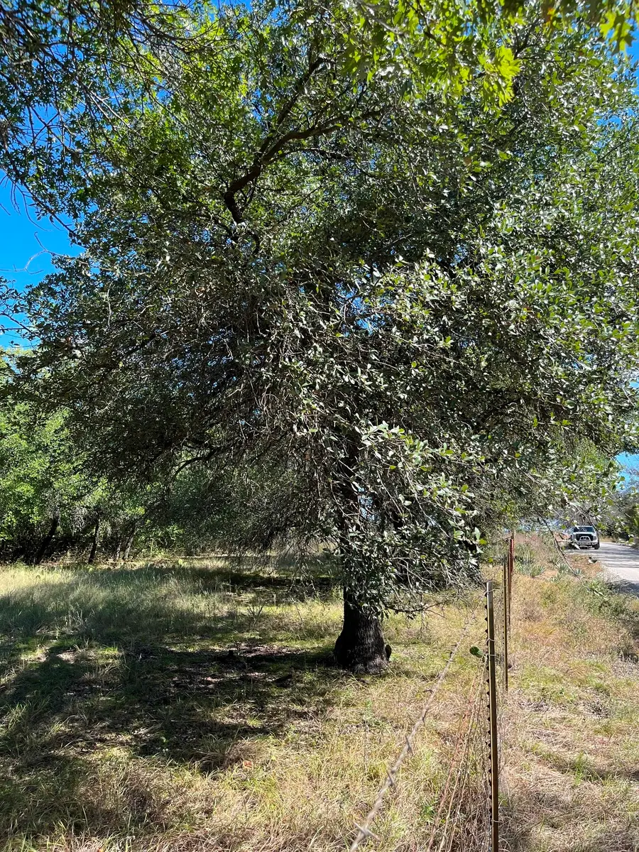 5487 County Road 345, Early, TX 76802 - #3