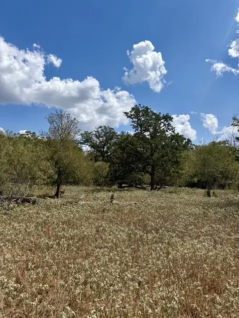 00 Anchor Ranch Loop, Flatonia, TX 78941 - #2