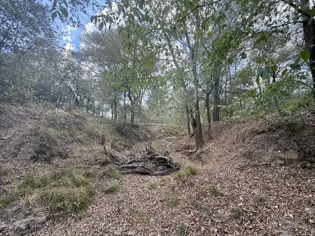 00 Anchor Ranch Loop, Flatonia, TX 78941 - #3