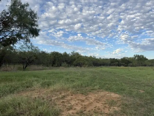 TBD Hunters Run, Brownwood, TX 76801 - #3