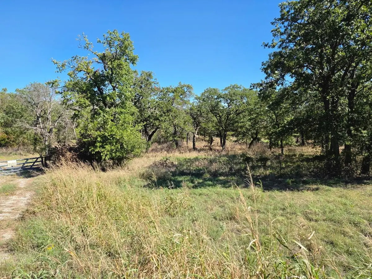 1633 Three Skillet Road, Springtown, TX 76082 - #1