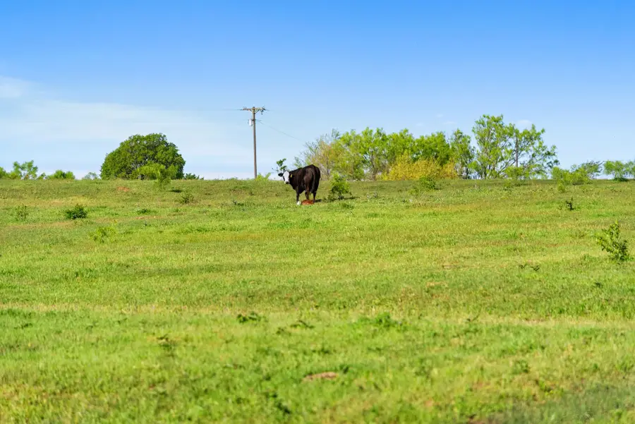 1480 Cr-1180, Alvord, TX 76225 - #3