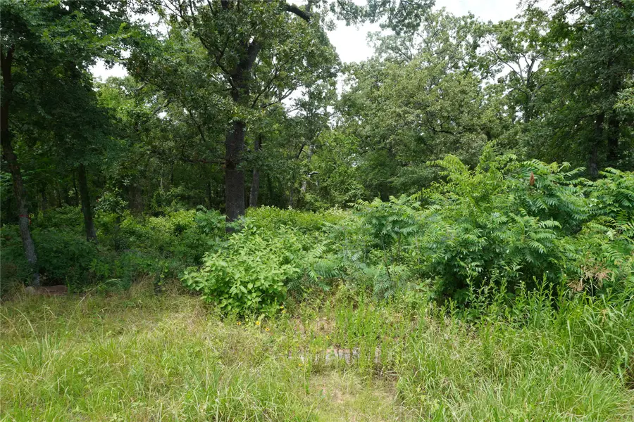TBD Nicklaus Drive, Sulphur Springs, TX 75482 - #3