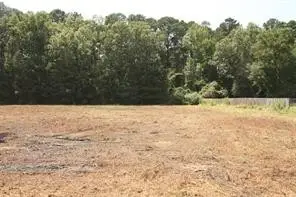 Lot 12 Peaceful Pines, Vivian, LA 71082 - #2