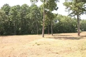 Lot 12 Peaceful Pines, Vivian, LA 71082 - #3