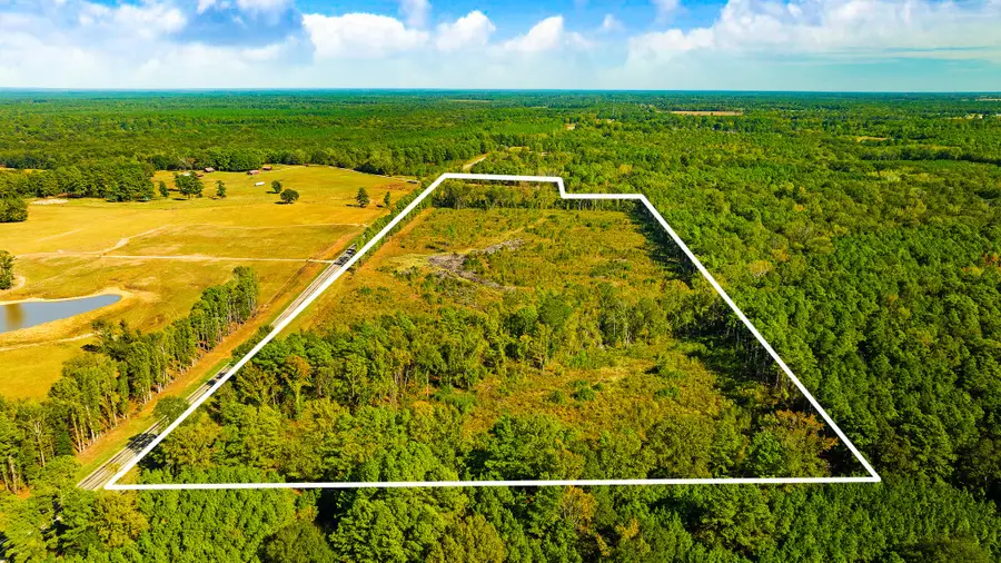 000 Farm Road 2120, Clarksville, TX 75426 - #2