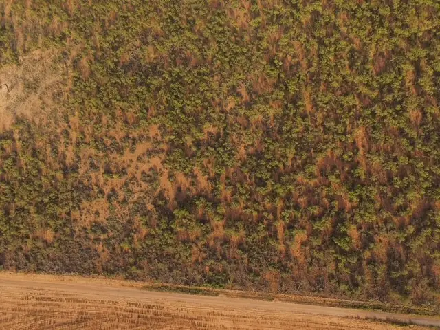 TBD (Lot 4) Fm 1224, Roby, TX 79543 - #3