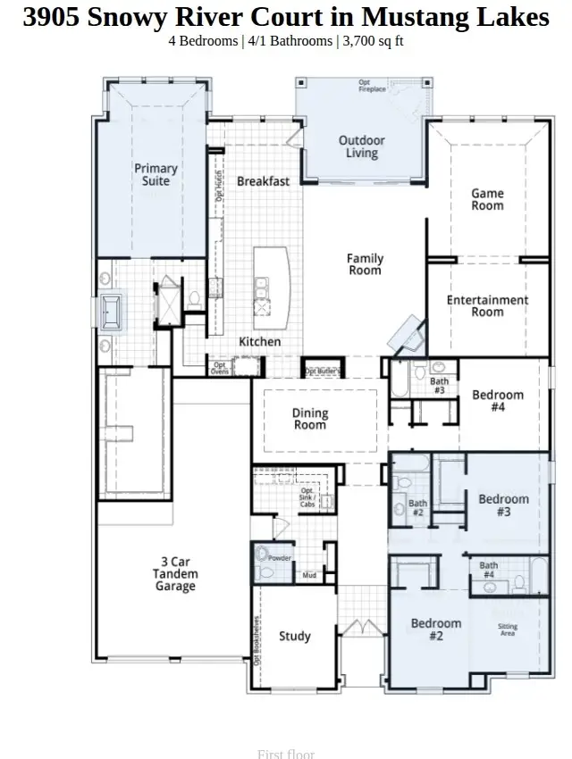3905 Snowy River Court, Celina, TX 75009 - #2