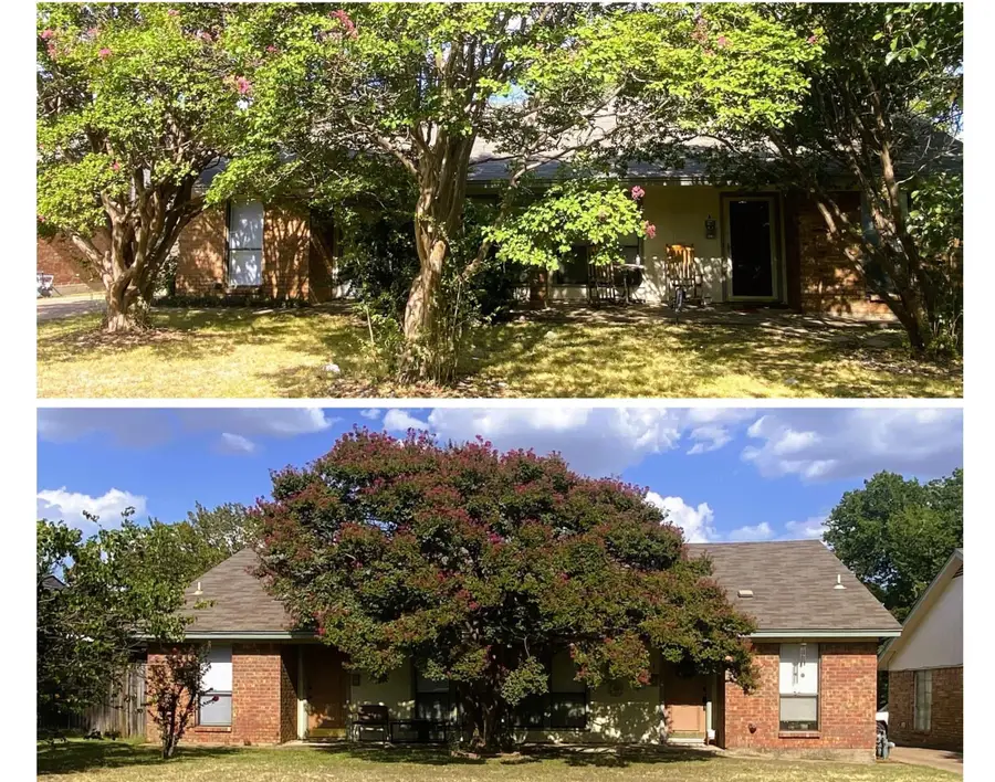 1107 Park Street, Arlington, TX 76011 - #3