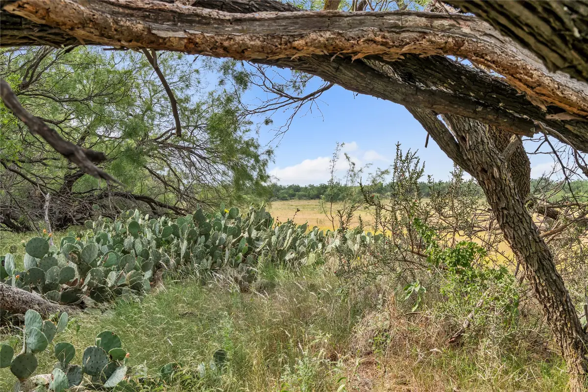 14175 S Highway 6, Moran, TX 76464 - #1