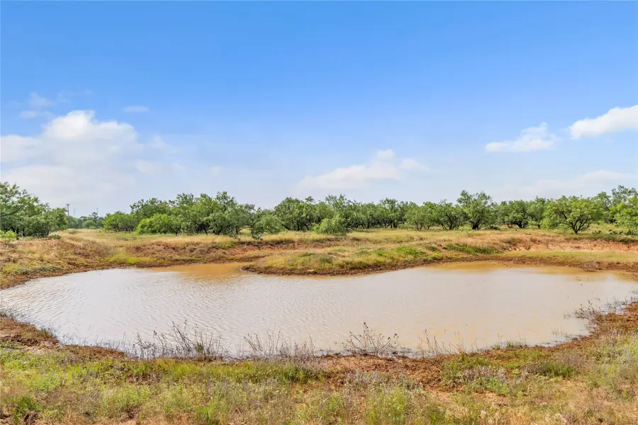 14175 S Highway 6, Moran, TX 76464 - #2