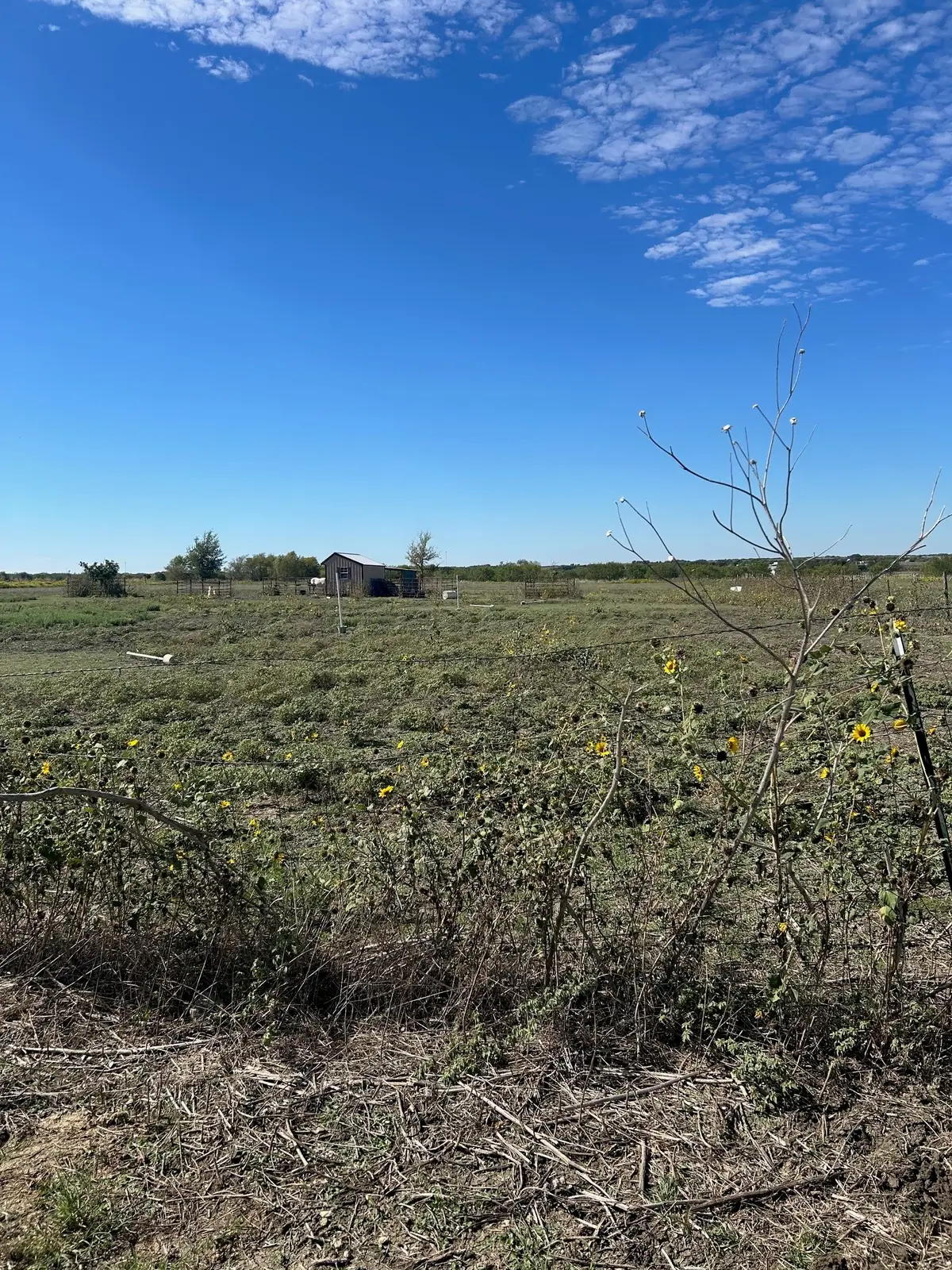 TBD Hcr 4421, Itasca, TX 76055 - #1
