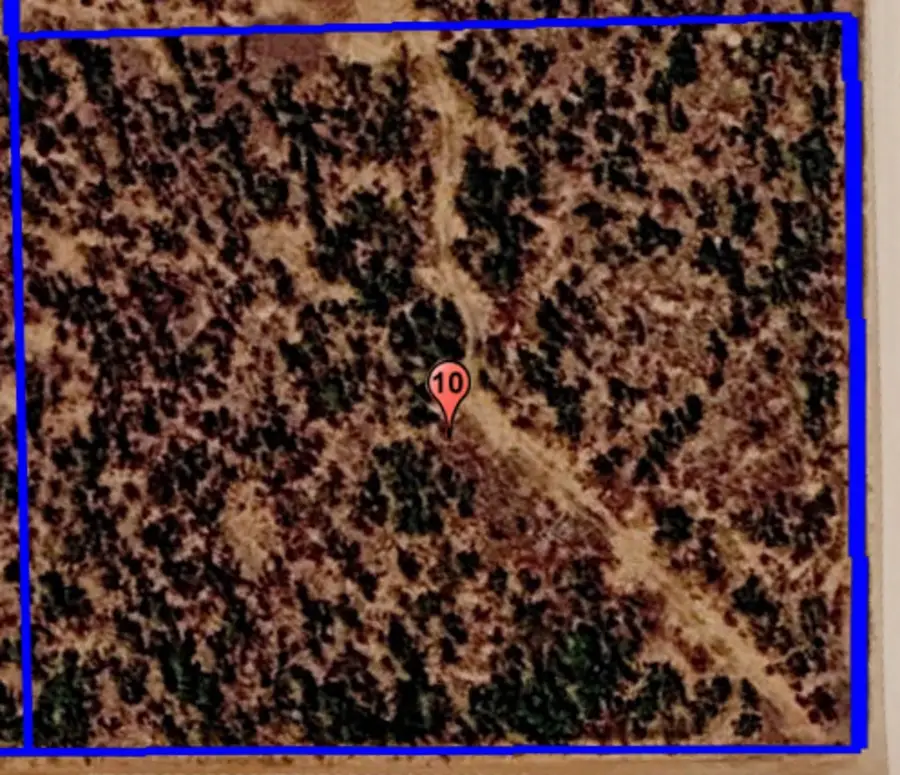 TBD (Lot 10) Cr 218, Roby, TX 79543 - #2