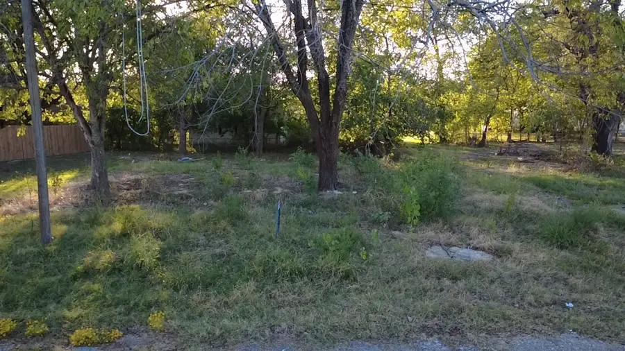 130 S Manson Street, Wolfe City, TX 75496 - #2