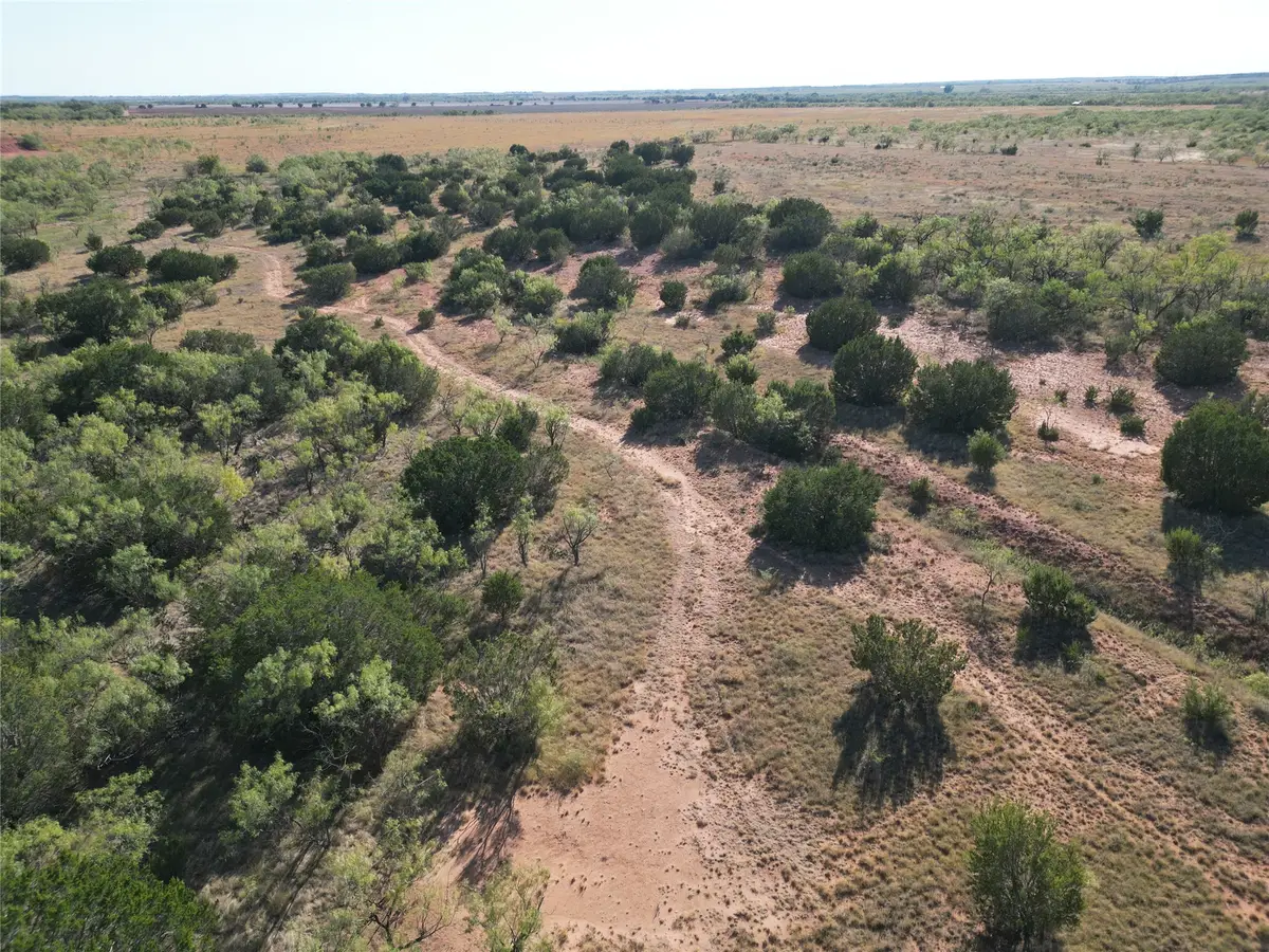 TBD TR 1 County Road 196, Ovalo, TX 79567 - #1