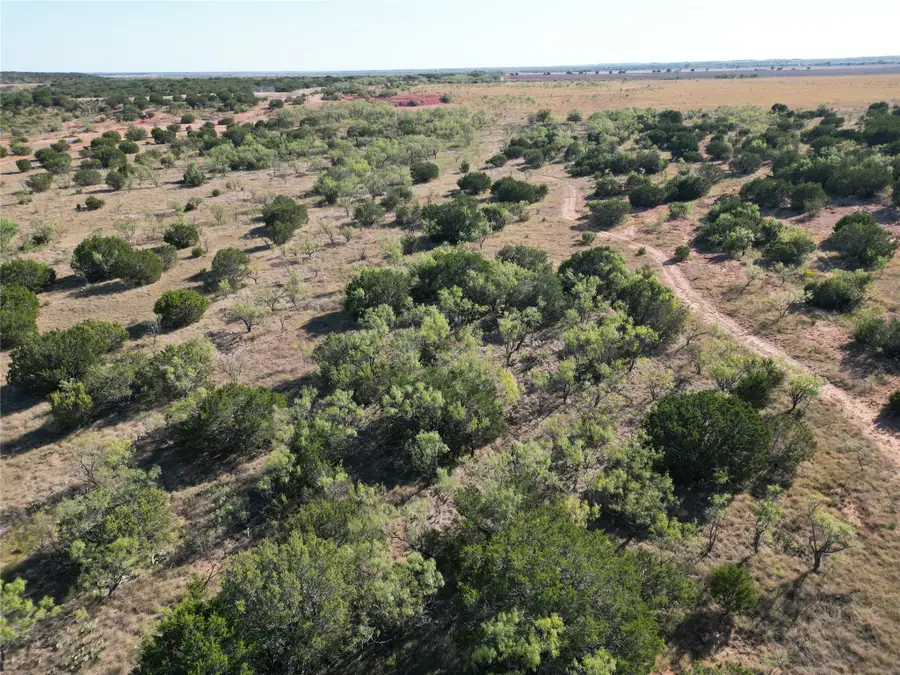 TBD TR 1 County Road 196, Ovalo, TX 79567 - #2