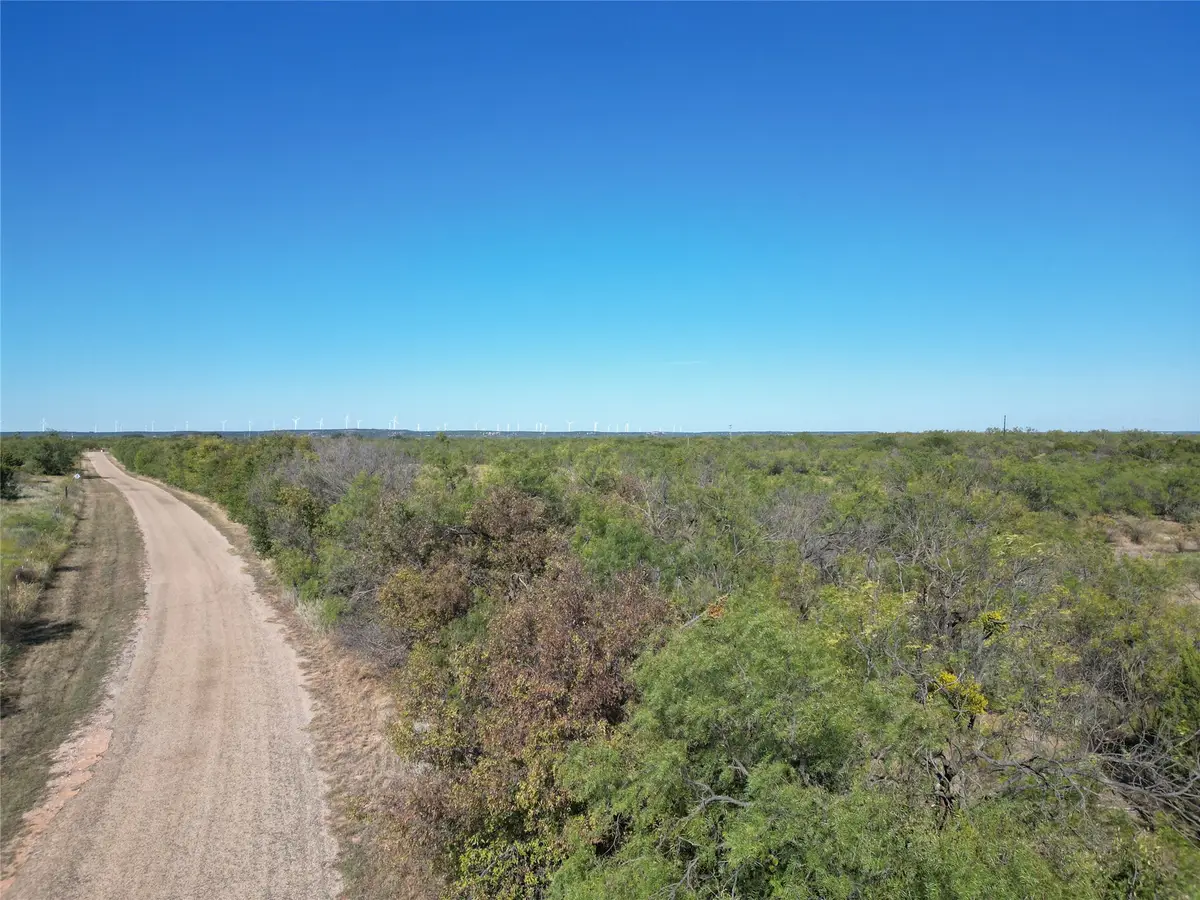 TBD TR2 County Rd 196, Ovalo, TX 79567 - #1