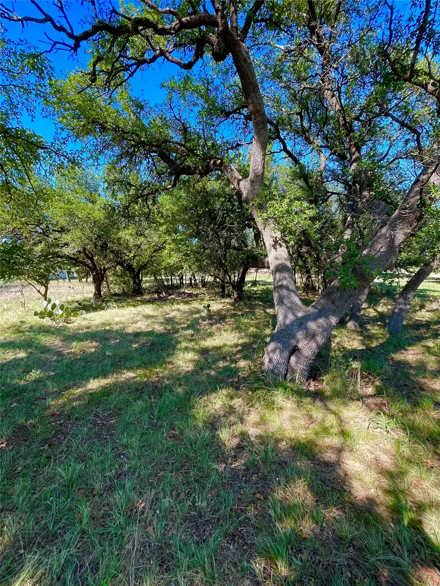 7276 Feather Bay Boulevard, Brownwood, TX 76801 - #2
