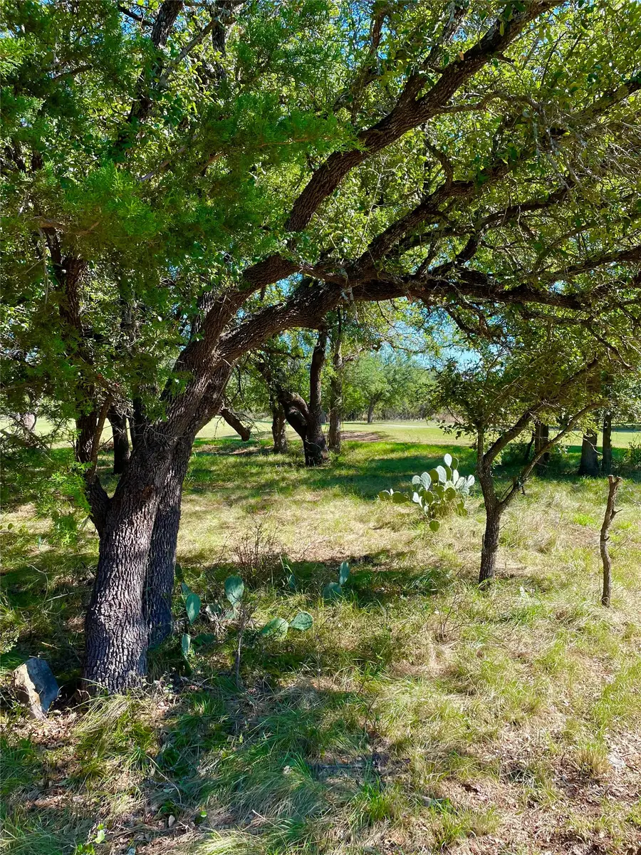 7276 Feather Bay Boulevard, Brownwood, TX 76801 - #3