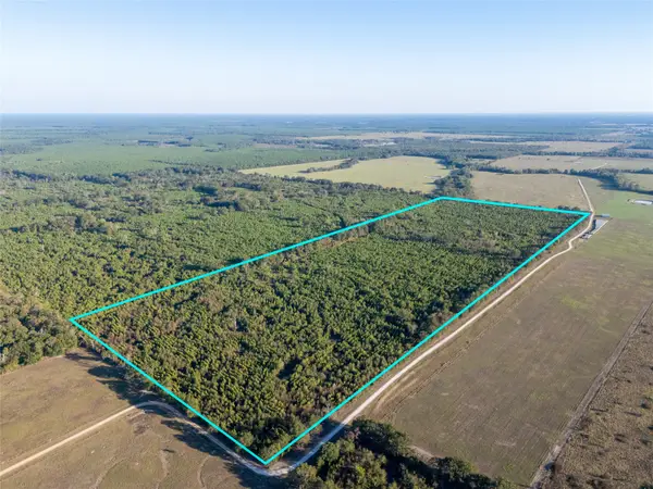 TBD S County Road 2242 #Tract 1, Bagwell, TX 75412