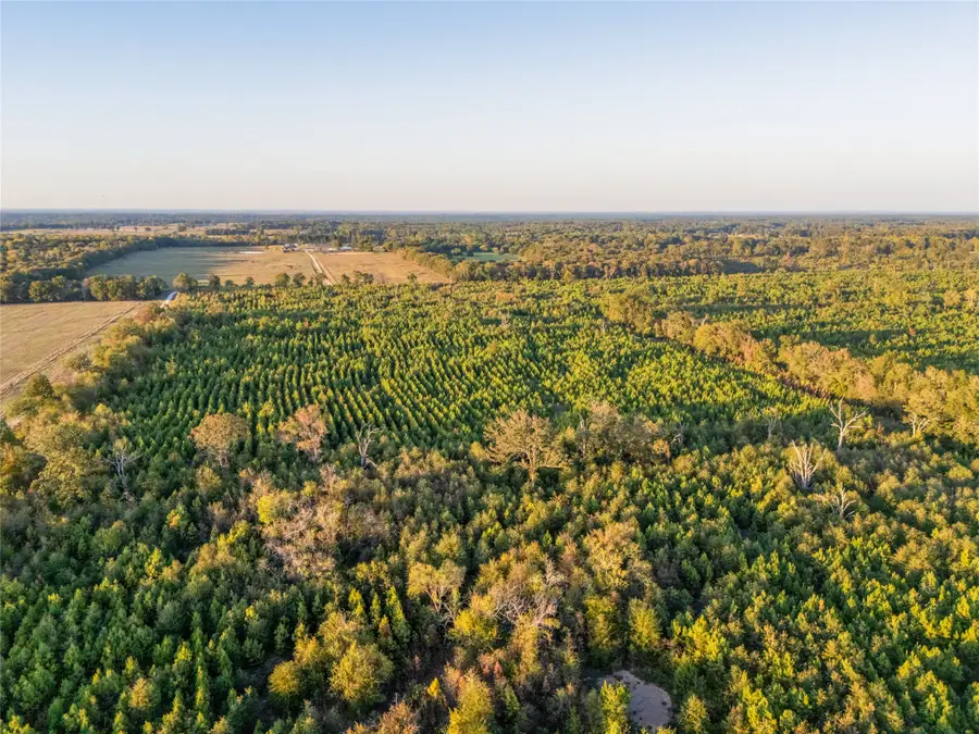 TBD S County Road 2242 #Tract 1, Bagwell, TX 75412 - #2