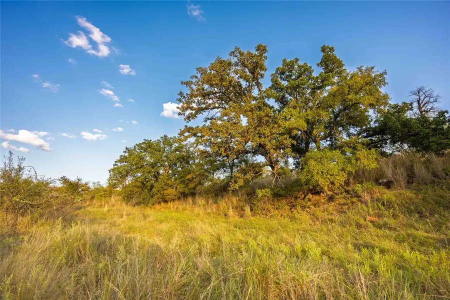 70 W Cr 532, Mullin, TX 76864 - #2