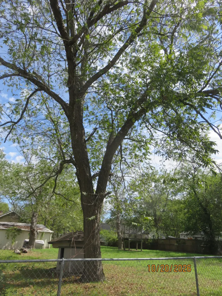 1501 Division Street, Commerce, TX 75428 - #2