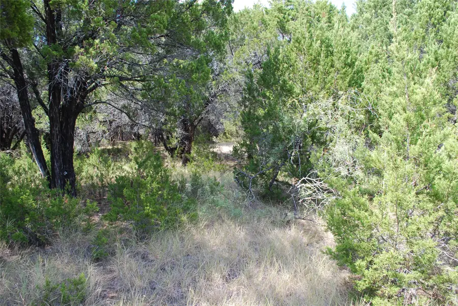 43009 Whisperwood Drive, Whitney, TX 76692 - #3