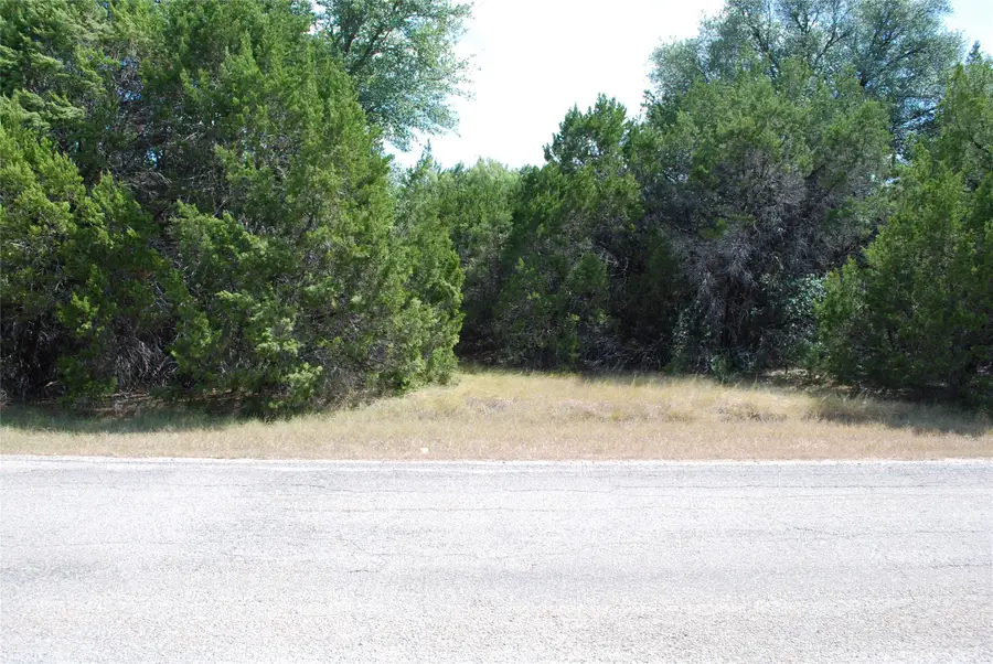 25063 Woodmont Drive, Whitney, TX 76692 - #3