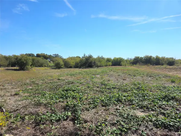 22 Longview Creek Trail, Itasca, TX 76055