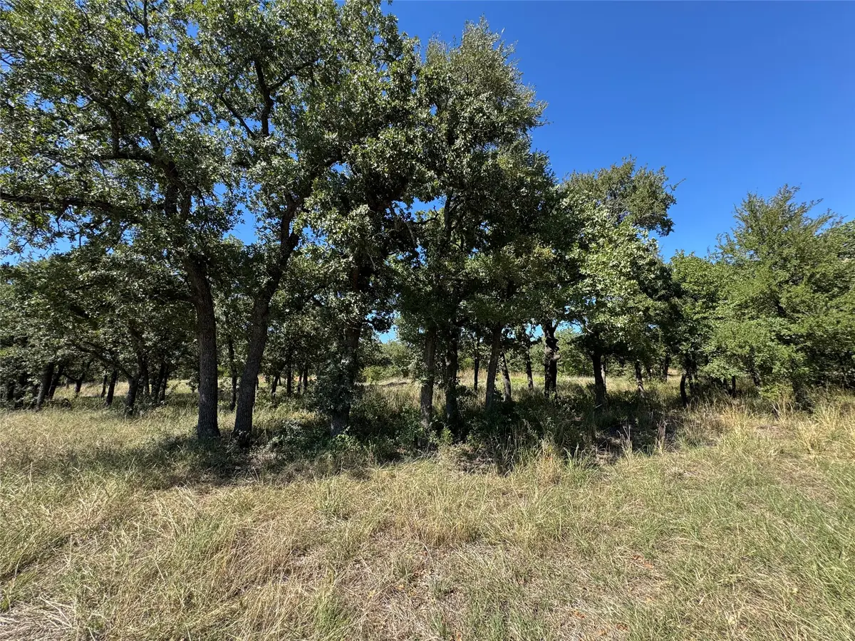 395 Hilltop Drive, Mineral Wells, TX 76067 - #1