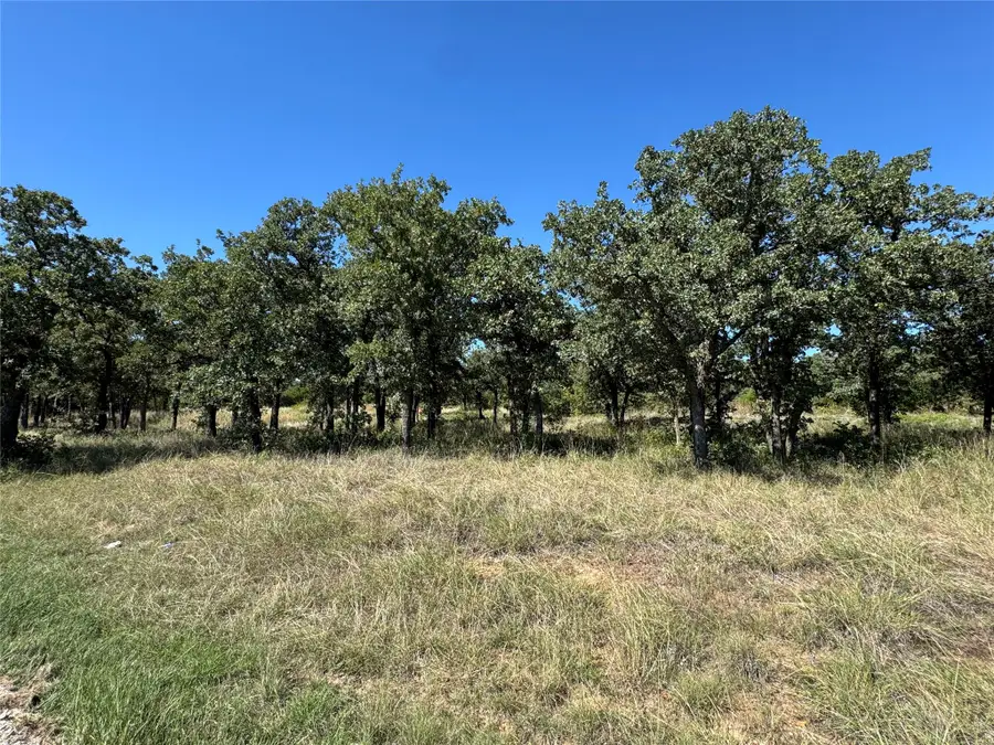 395 Hilltop Drive, Mineral Wells, TX 76067 - #3