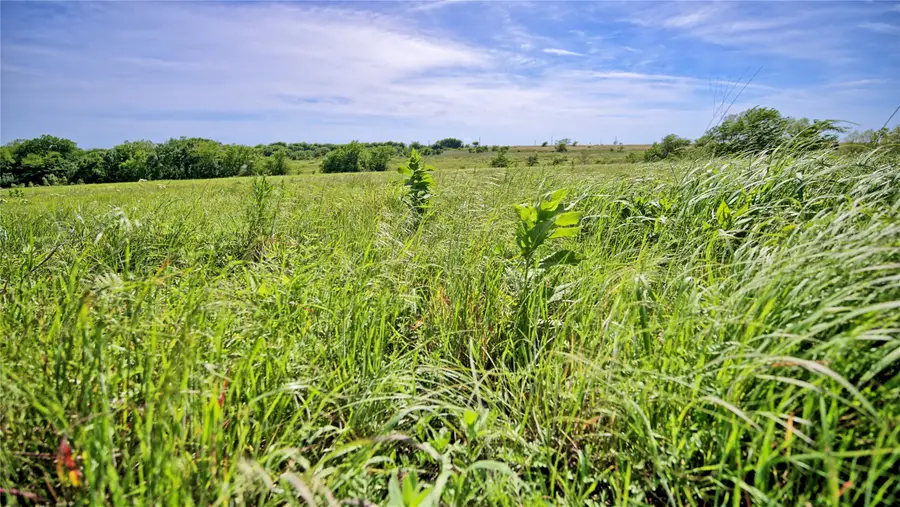 TBD Evie Court, Saint Jo, TX 76265 - #2