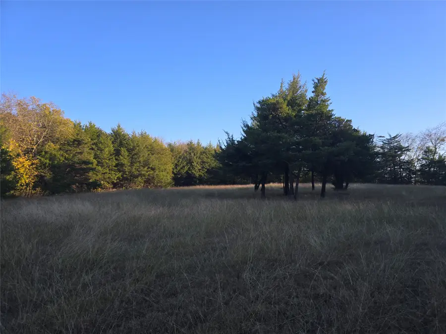 TBD 29.5Acres Tract 2 County Rd 36000, Honey Grove, TX 75446 - #2