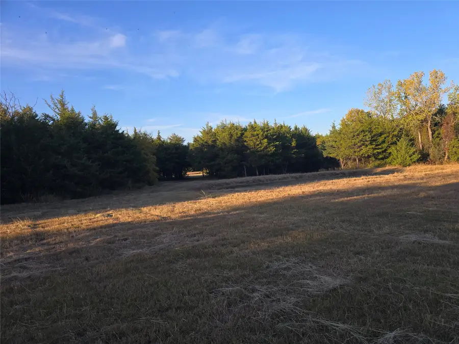 TBD 29.5Acres Tract 2 County Rd 36000, Honey Grove, TX 75446 - #3