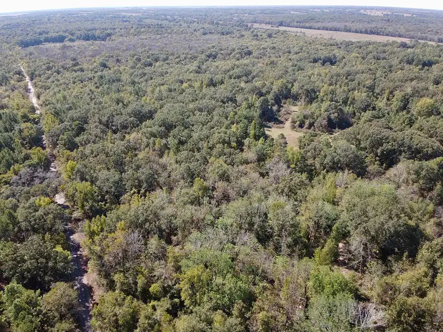 000 County Road 3230, Clarksville, TX 75426 - #2